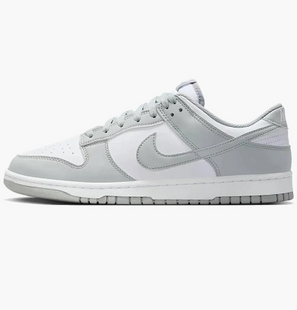 Кросівки чоловічі Nike Dunk Low Retro HF5441-105 фото